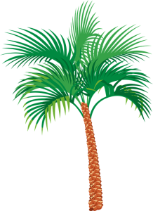 Green Tropical Palm Tree Vector Free Clipart
