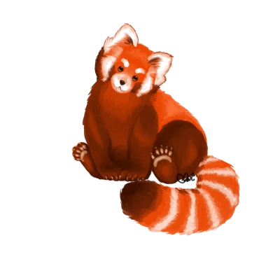 Cute Red Panda Drawing Free Clipart