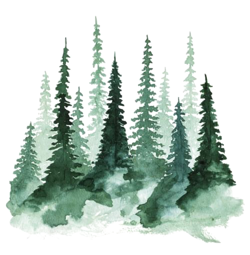 Watercolor Pine Forest Trees Clipart