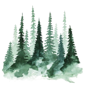 Watercolor Pine Forest Trees Clipart