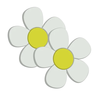 Two Simple 3D Daisy Flowers Transparent Background
