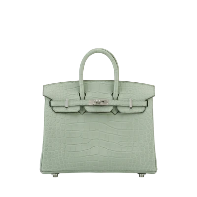 Hermes Birkin Bag Mint Green PNG