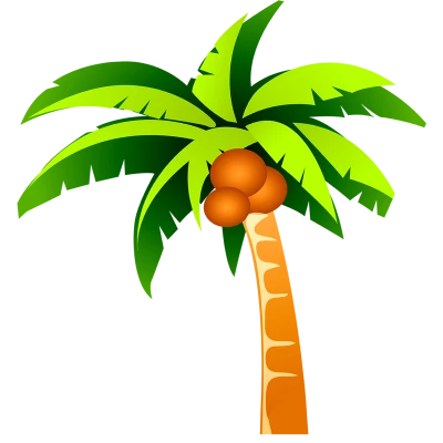 Cartoon coconut trees, coconut tree, coconuts PNG Image File Free Download – Clickpng