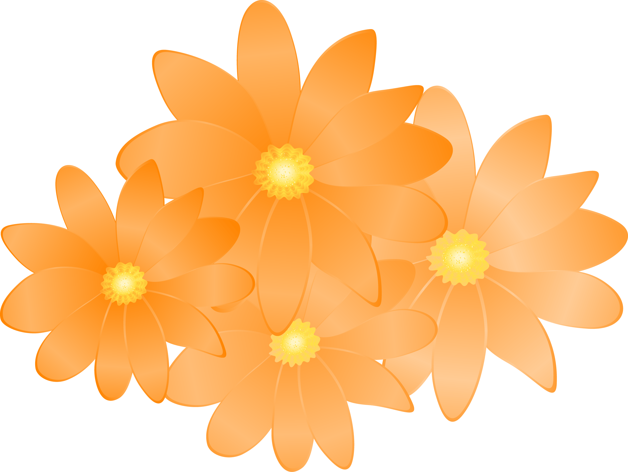 Orange Flowers Vector Clipart