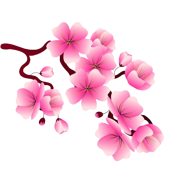 Pink Cherry Blossom Branch Clipart