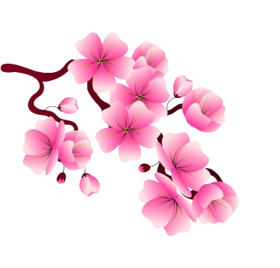 Pink Cherry Blossom Branch Clipart