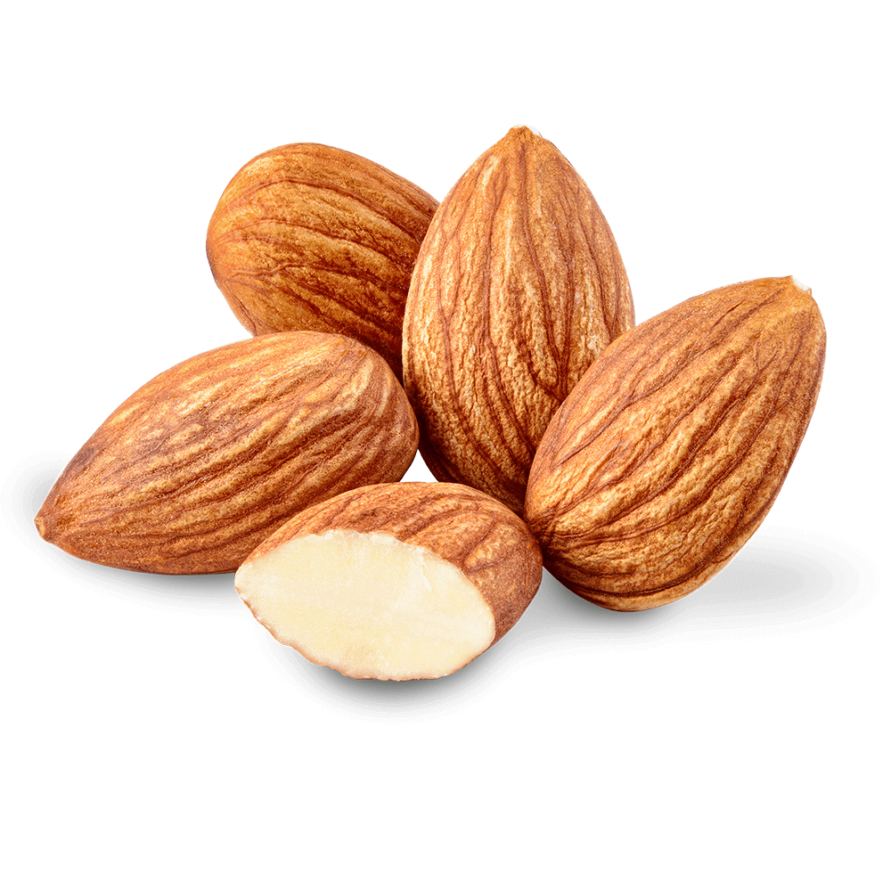 Almonds Nuts Clipart