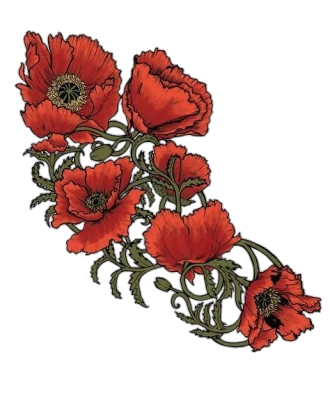 Red Poppies Floral Art Transparent Background