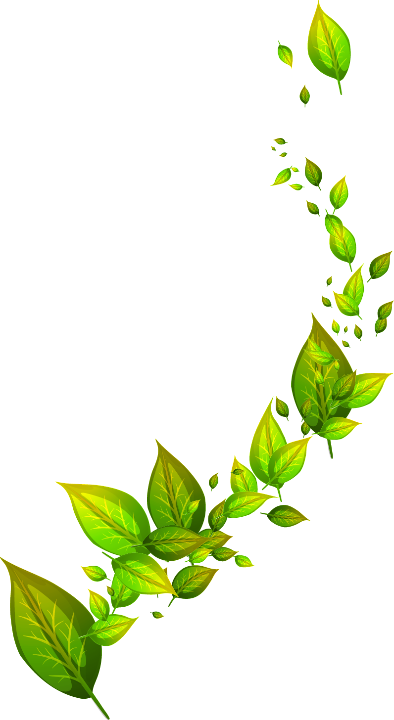 Flying Green Leaves Clipart