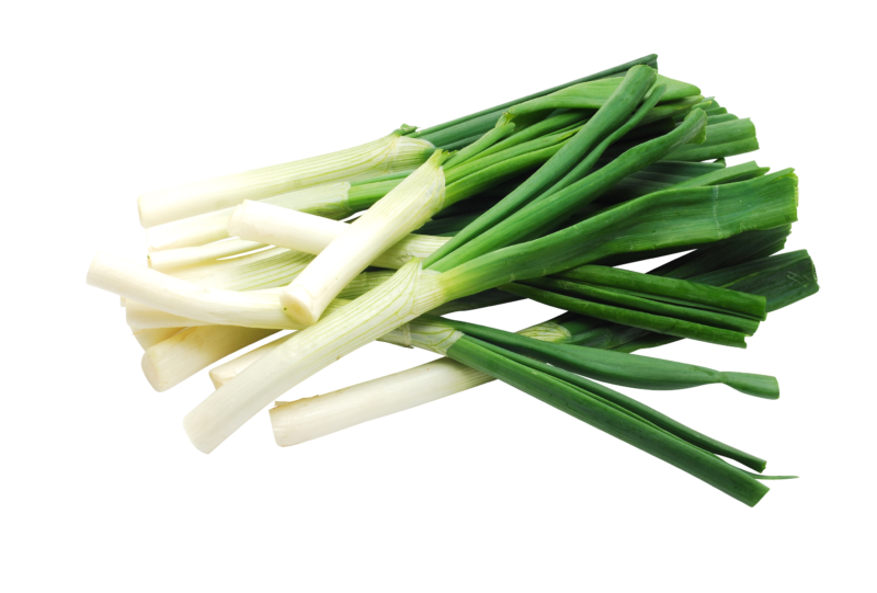 Fresh Spring Onions Scallions Clipart