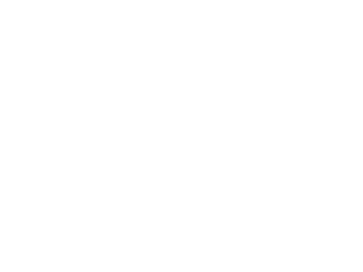 White Snowflakes Falling Texture PNG