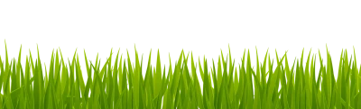 Green Grass Border Free PNG