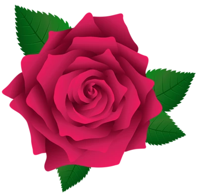 Red Rose Flower Free PNG