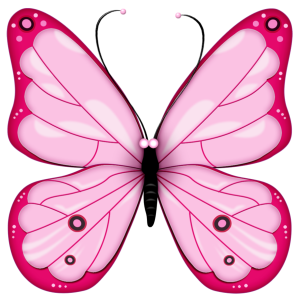 Butterfly PNG – Beautiful & Colorful Transparent Images Download 1