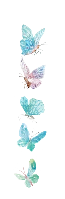 Butterfly PNG – Beautiful & Colorful Transparent Images Download