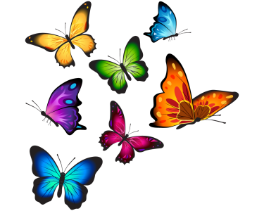 Butterfly PNG – Beautiful & Colorful Transparent Images Download 5