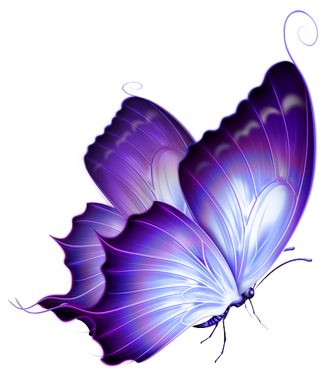 Butterfly PNG – Beautiful & Colorful Transparent Images Download 11