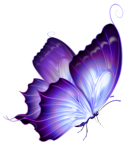Butterfly PNG – Beautiful & Colorful Transparent Images Download 11