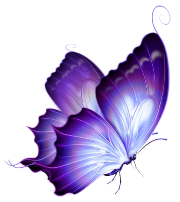 Butterfly PNG – Beautiful & Colorful Transparent Images Download