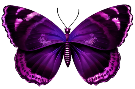 Butterfly PNG – Beautiful & Colorful Transparent Images Download 14