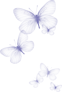 Butterfly PNG – Beautiful & Colorful Transparent Images Download 15