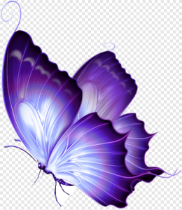 Butterfly PNG – Beautiful & Colorful Transparent Images Download 16
