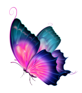 Butterfly PNG – Beautiful & Colorful Transparent Images Download 18