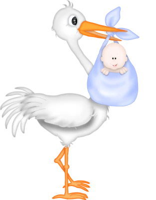 Cute Stork Carrying a Baby Boy Free Download PNG