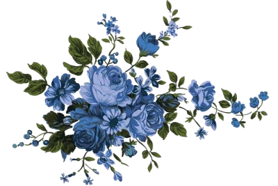 Professional DSLR Camera Clipart