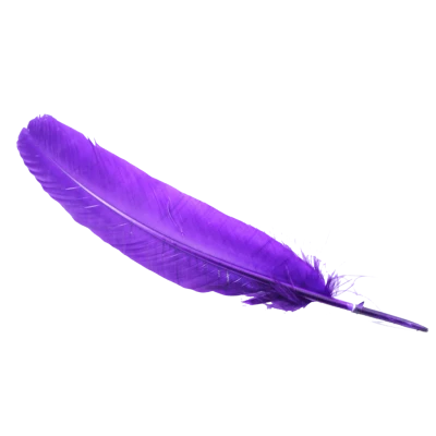 Official Soccer Football PNG Image