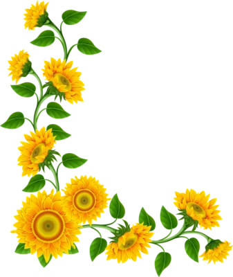 Sunflowers Corner Frame Border Free PNG