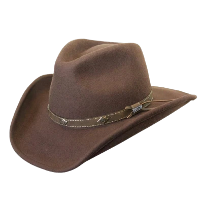 Professional Brown Felt Cowboy Hat Free PNG