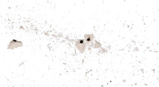 Grunge White Paint Splatter Texture Clipart