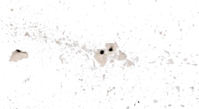 Grunge White Paint Splatter Texture Clipart