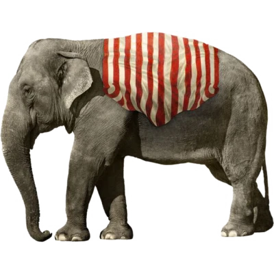 Circus Elephant Free PNG