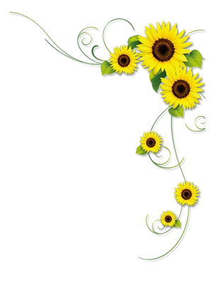 Sunflower Yellow, sunflower PNG Image File Free Download – Clickpng