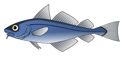 Haddock Fish PNG Image