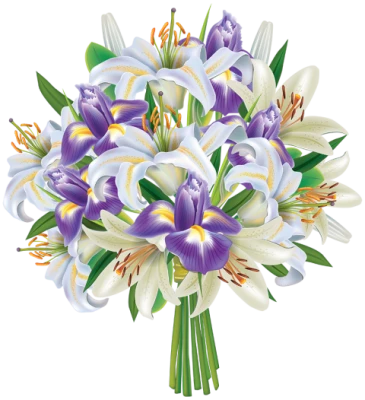 Bouquet of Lilies and Irises PNG Image