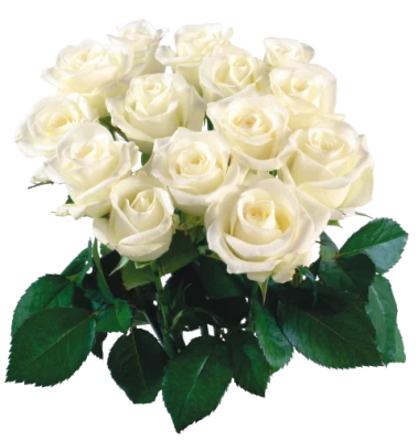 White Roses Bouquet Clipart