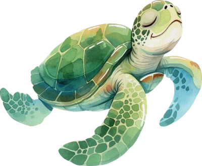 Cute Green Sea Turtle Watercolor Free PNG