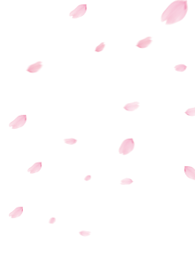 Confetti PNG – Colorful & Festive Transparent Images Download 5