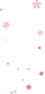 Confetti PNG – Colorful & Festive Transparent Images Download 7