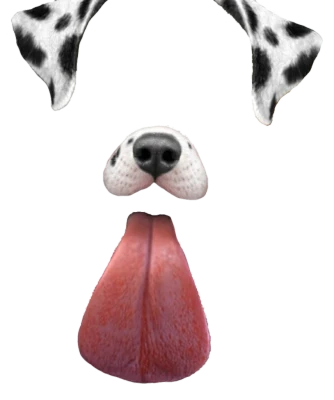 Dalmatian Dog Snapchat Filter PNG Image
