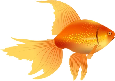 Golden Fish Cartoon Illustration PNG Image