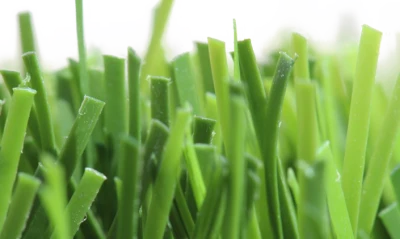 Close Up Artificial Green Grass Turf Free PNG