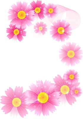 Pink Cosmos Flowers Corner Frame PNG Image