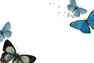 Blue Butterflies And Gold Dust Border Transparent Background