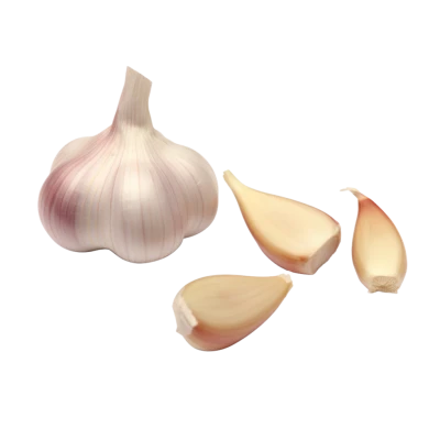 Fresh Garlic Bulb And Cloves PNG Image