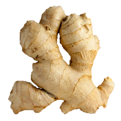 Fresh Raw Ginger Root Free PNG
