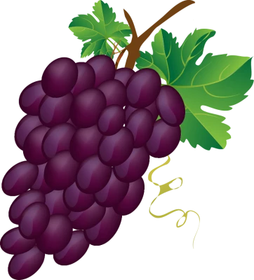 Purple Grapes Illustration Cluster PNG Image